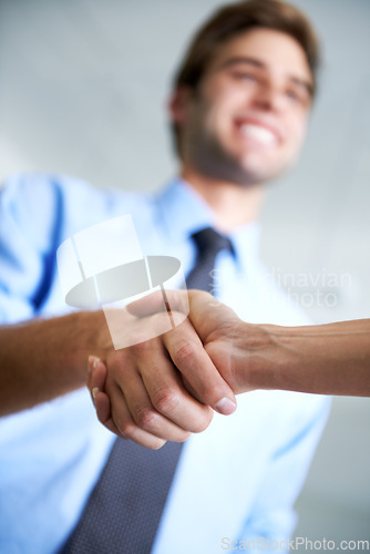 Image of Closeup, handshake and deal of business people, teamwork and thank you in agreement of partnership. Hiring, networking and shaking hands in collaboration, welcome and support of promotion opportunity