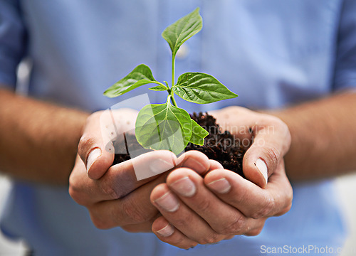 Image of Soil, plants and hands of person, growth and sustainability of earth day, charity and investment. Sustainable world, care and closeup of leaf, sand and green future of hope, climate change and planet