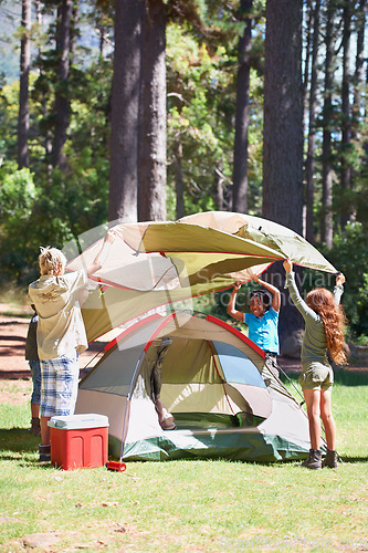 Image of Children, tent and camping setup in forest for shelter, cover together on the grass in nature. Happy kids in teamwork setting up tents for camp adventure or holiday vacation in the woods