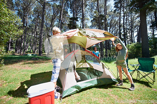 Image of Children, tent and team camping in forest for shelter, cover or insurance together on the grass in nature. Happy kids in teamwork setting up tents for camp adventure or holiday vacation in the woods