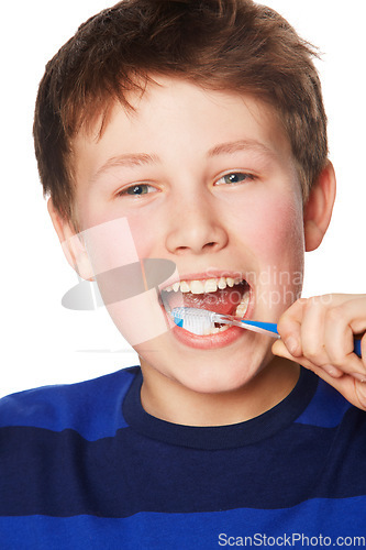 Image of Portrait, smile and child brushing teeth in studio isolated on a white background. Face, boy and kid with tooth brush for oral health, hygiene and dental wellness, fresh breath and cleaning gums.