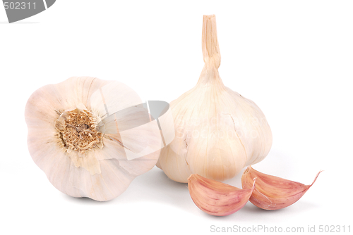 Image of Garlic