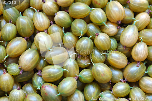 Image of Gooseberry