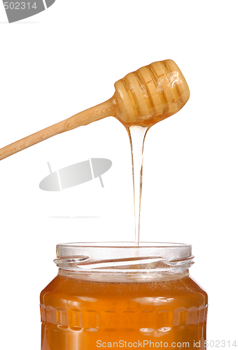 Image of Honey