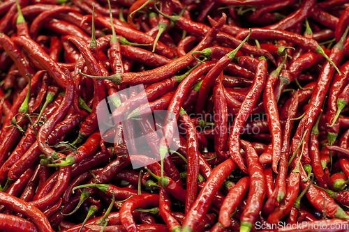 Image of Spicy, red pepper and grocery with chillies in supermarket for organic food, shopping and health. Mexican, plant and heat with hot vegetable ingredient in store for seasoning, paprika and nutrition