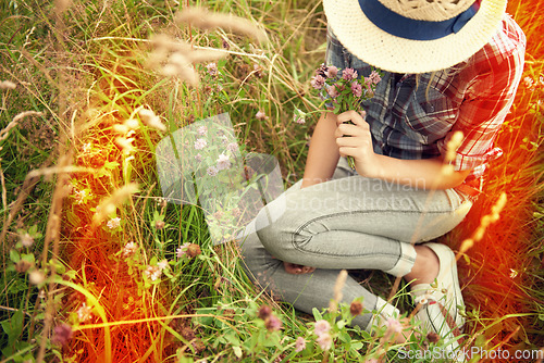 Image of Lens flare, field and woman picking flower in countryside for freedom, wellness and fresh air outdoors. Wildflowers, spring and hipster female person in meadow for relax or sustainability in nature