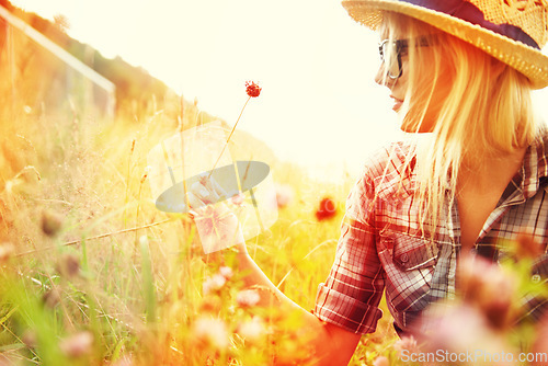 Image of Woman picking flower in field with lens flare for freedom, wellness and fresh air in countryside. Nature, summer and hipster female person in natural meadow for relax, sustainability and ecology