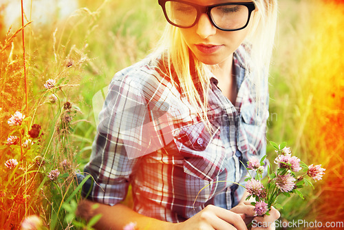 Image of Lens flare, spring and woman picking flower in countryside for freedom, wellness and fresh air outdoors. Nature, hipster and female person in natural meadow for sustainability and ecology in summer
