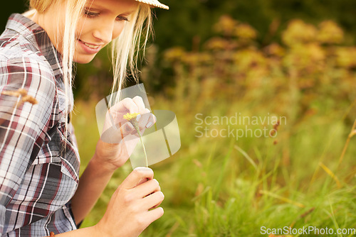 Image of Spring, meadow and woman pick flower in field for freedom, wellness and fresh air outdoors. Nature, sunshine and happy hipster female person in countryside for relax, sustainability and ecology