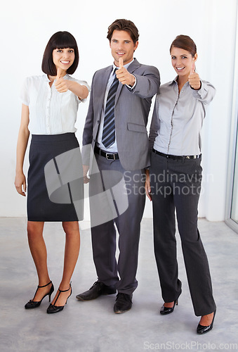 Image of Business people, portrait and thumbs up for winning, celebration or good job in teamwork at the office. Group of happy employee workers showing thumb emoji for yes sign, like or approval at workplace