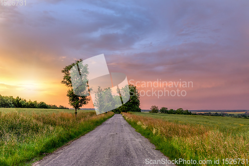 Image of Rainbow over the summer field