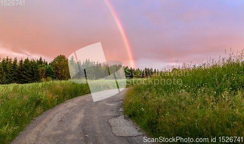 Image of Rainbow over the summer field