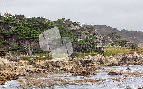 Image of idyllic coastal scenery in California