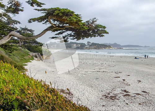 Image of idyllic coastal scenery in California