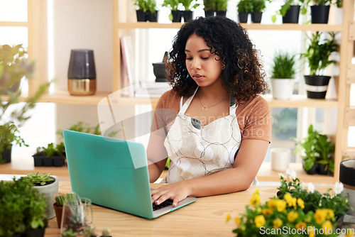 Image of Laptop, search and plant with woman in small business for planning, networking and website. Entrepreneurship, startup and technology with female botanist for nature, green and garden shop