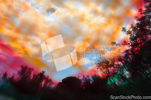 Image of trees and branches colorful landscape