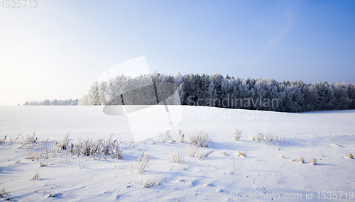 Image of white fresh snow