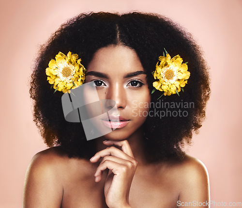 Image of Portrait, woman and flowers in afro, studio and background for beauty, floral aesthetic or shine. Face of african model, natural skincare and yellow daisy plants in hair for makeup, cosmetics or glow
