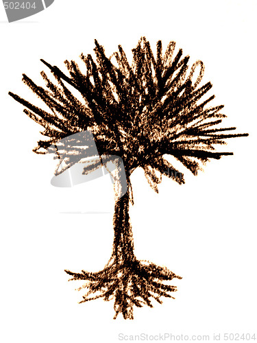 Image of tree