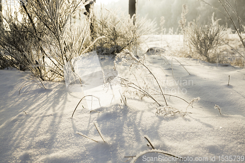 Image of white fresh snow