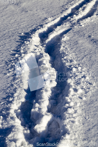 Image of winter walking road