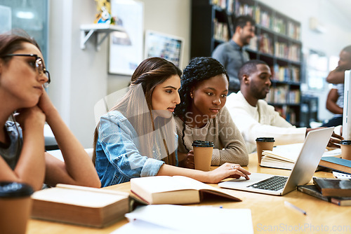 Image of Laptop, library and university girl students studying together for education in preparation of a test or exam. Computer, college and scholarship with female friends searching for information online