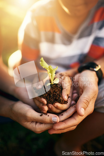 Image of Hands of family, soil or plant in garden for sustainability, agriculture care or farming development. Backyard, natural growth or closeup of parents hand holding sand or planting for teaching a child