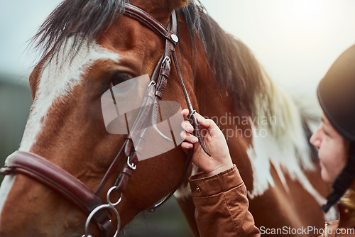 Image of Horse, prepare and face of a racing animal outdoor with woman hand ready to start training. Horses, countryside and pet of a female person holding onto rein for riding and equestrian sport exercise