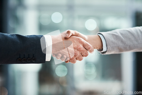 Image of Business people, handshake and partnership meeting, welcome and introduction or job agreement and success. Professional man, partner or corporate clients shaking hands in thank you, interview or deal