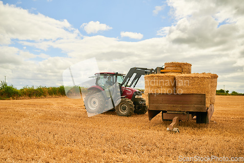 Image of Hay, agriculture and a tractor on a farm in the countryside for sustainability outdoor during the harvest season. Nature, sky and clouds with an agricultural vehicle for harvesting on an open field