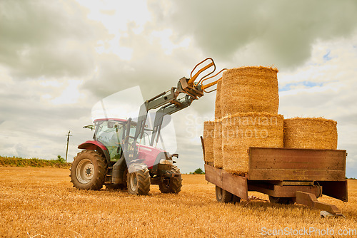 Image of Hay, agriculture and a tractor on a farm in the harvest season for sustainability outdoor on an open field. Nature, summer sky and clouds with a red agricultural vehicle harvesting in the countryside