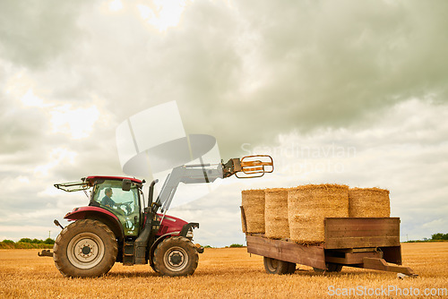 Image of Hay, countryside and a tractor on a farm for sustainability outdoor on an open field during the harvest season. Agriculture, sky and clouds with a red industrial farming vehicle harvesting in nature