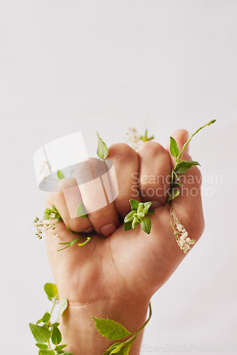 Image of Woman hand, holding plants and fist for eco warrior, fight and revolution for sustainability protest. White background, studio and person with leaf and green plant in hands for environment rally