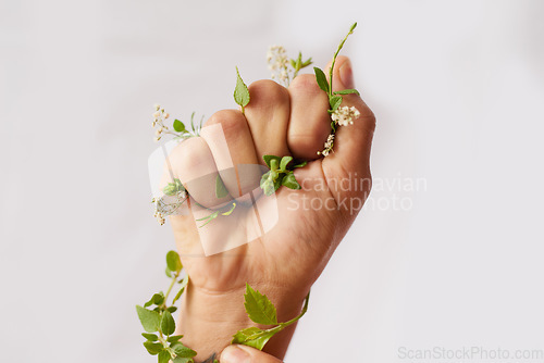 Image of Hand, nature growth and holding fist for eco warrior, fight and revolution for sustainability protest. White background, studio and person with leaf and green plant in hands for environment rally