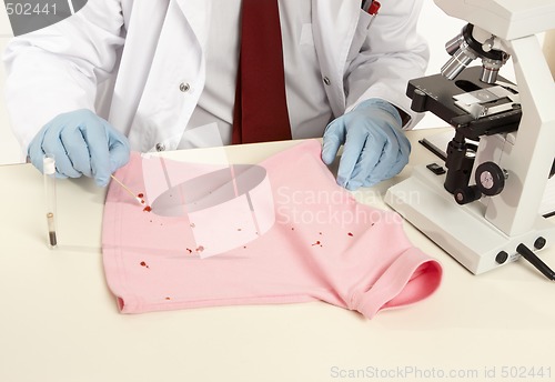 Image of Forensic swabbing a stain