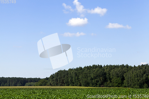 Image of landscape with sky