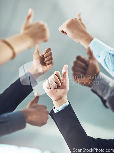 Image of Business people, hands and thumbs up in teamwork for winning, success or company goals at office. Hand of employee group showing thumb emoji, yes sign or like for team unity, win or victory together