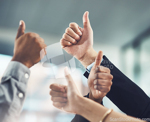 Image of Business people, hands and thumbs up for winning, success or company goals in teamwork at office. Hand of employee group showing thumb emoji, yes sign or like for team unity, win or victory together