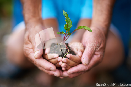 Image of Hands, kid and senior person with plant in soil for earth day, climate change or environment care. Hand, child and grandparent with leaf in nature for sustainability, learning and eco friendly growth