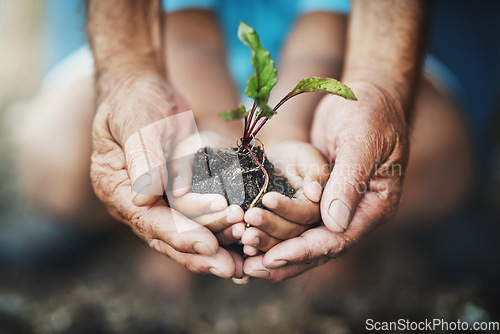 Image of Hands, child and grandparent with plant in nature for sustainability, learning and eco friendly growth. Hand, kid and senior person with leaf in soil for earth day, climate change or environment care