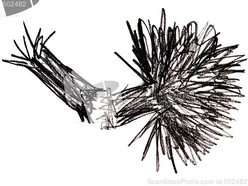 Image of broken tree
