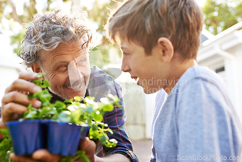 Image of Elderly man planting herbs with a child in garden for agriculture, sustainability or gardening. Nature, bonding and senior male person checking plants and teaching a boy kid in the backyard at home.