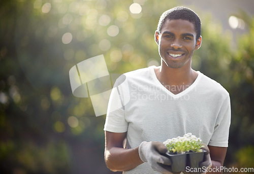 Image of Black man, sustainability and plant growth in nature for nature, environment development and mockup space. Gardener, growing and sustainable eco friendly work of a person with care for gardening