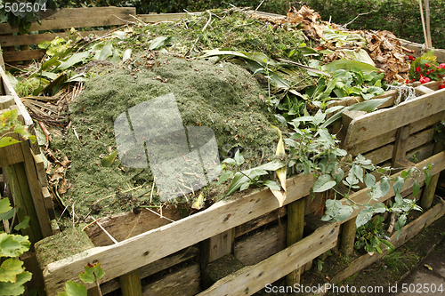 Image of wooden compost bin 