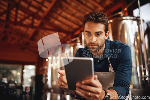 Image of Tablet, focus and brewery with man in factory for production, manufacturing and alcohol fermentation. Technology, inspection and digital with business owner for distillery, storage or quality control