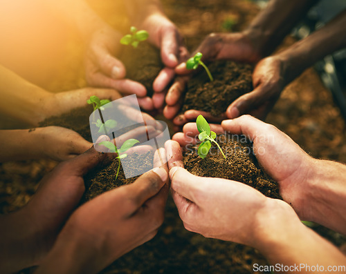 Image of Plant, sustainability and soil with hands of people for teamwork, earth and environment. Collaboration, growth and investment with friends in nature for future, partnership and community
