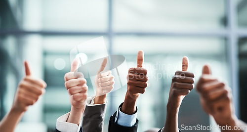 Image of Winning, thumbs up and group of people thank you, support or teamwork hands for vote, yes or like emoji. Collaboration, target or winner women and men in business ok, diversity success or thanks sign