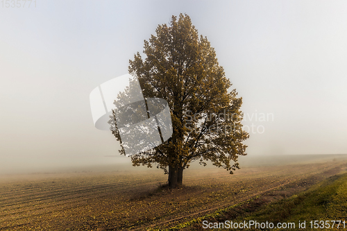 Image of European autumn