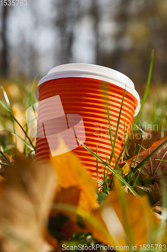 Image of yellow foliage and Cup for tea