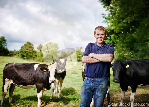 Image of Portrait, agriculture and cows with a man on a dairy farm outdoor in summer for natural sustainability. Confident, milk or meat farming and a young male farmer standing on an open field or meadow